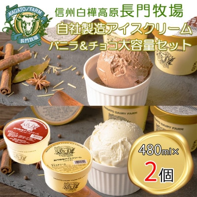 長門牧場　自社製造アイスクリーム　贅沢大サイズセット2個　クリスマススイーツギフト　長野県お歳暮