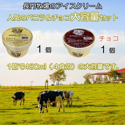 長門牧場　自社製造アイスクリーム　贅沢大サイズセット2個　クリスマススイーツギフト　長野県お歳暮