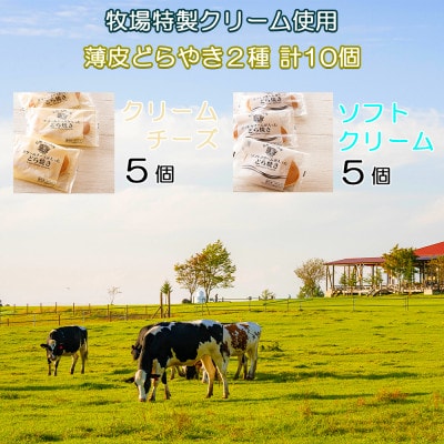 長門牧場　ソフトクリーム&クリームチーズ薄皮どらやき2種セット　クリスマススイーツギフト長野県お歳暮