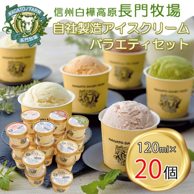 長門牧場　自社製造アイスクリーム　贅沢バラエティセット20個　クリスマススイーツギフト　長野県お歳暮