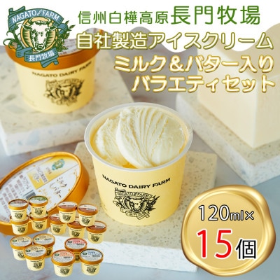 長門牧場濃厚ミルクのアイスクリーム15個プレミアムセットCA-3 ミルク&バター入り 人気スイーツ