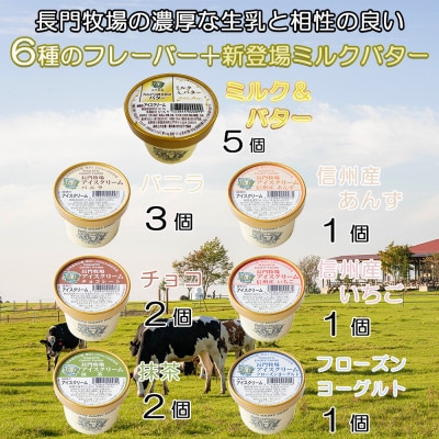 長門牧場濃厚ミルクのアイスクリーム15個プレミアムセットCA-3 ミルク&バター入り 人気スイーツ