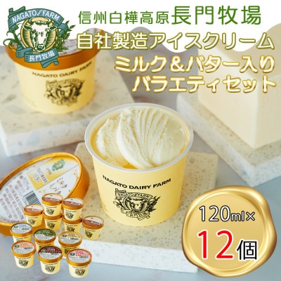 長門牧場濃厚ミルクのアイスクリーム12個プレミアムセットCA-2 ミルク&バター入り 人気スイーツ