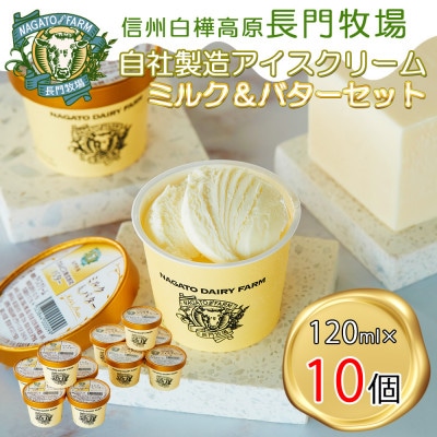 長門牧場濃厚ミルクのアイスクリーム10個プレミアムセットCA-1 白い食べ比べセット 人気スイーツ