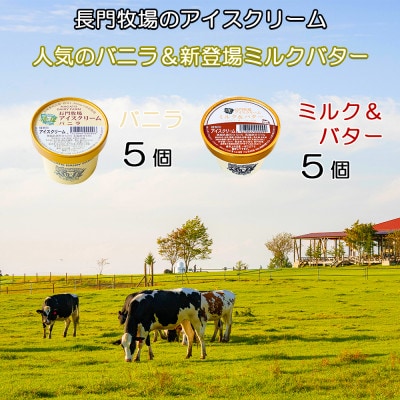 長門牧場　自社製造アイスクリーム　バニラ&バター10個セット　クリスマススイーツギフト　長野県お歳暮