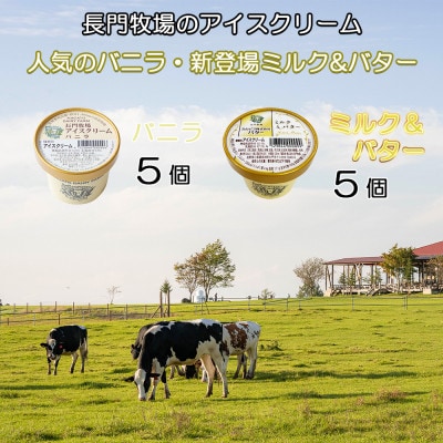 長門牧場濃厚ミルクのアイスクリーム10個プレミアムセットCA-1 白い食べ比べセット 人気スイーツ