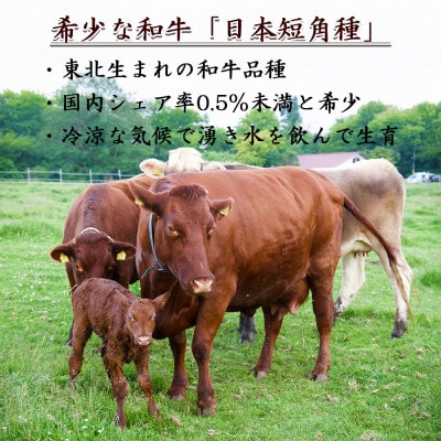 【個数限定】長門牧場　希少和牛「日本短角種」ハンバーグ・ソーセージ・切り落とし　3種おためしセット