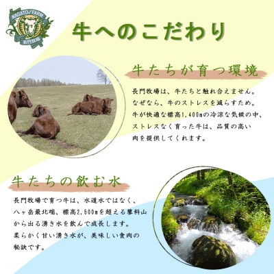 【個数限定】長門牧場　希少和牛「日本短角種」ハンバーグ・ソーセージ・切り落とし　3種おためしセット