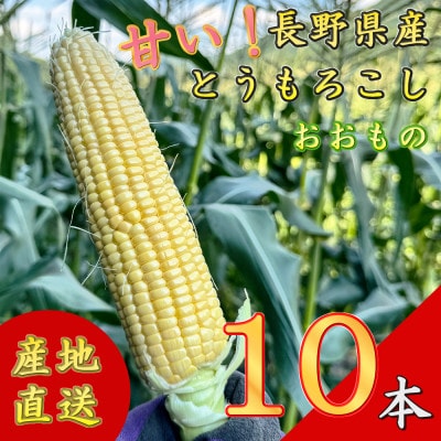 【先行予約】 長野県長和町産　黒耀水育ちのあまいとうもろこし　人気品種「おおもの」10本入り