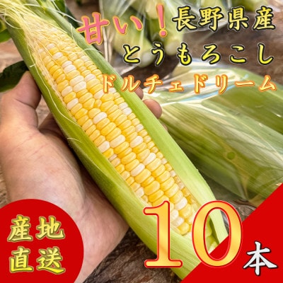 【先行予約】 長野県長和町産　黒耀水育ちのあまいとうもろこし　人気品種「ドルチェドリーム」10本入り