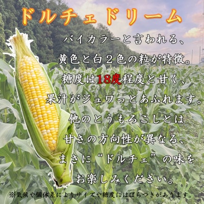【先行予約】 長野県長和町産　黒耀水育ちのあまいとうもろこし　人気品種「ドルチェドリーム」10本入り