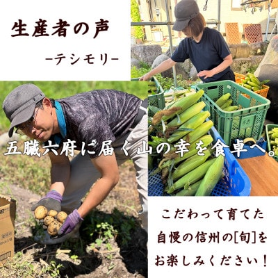 【先行予約】 長野県長和町産　黒耀水育ちのあまいとうもろこし　人気品種「ピュアホワイト」10本入り