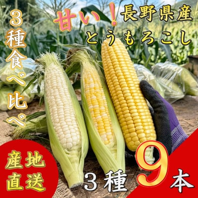 【先行予約】 長野県長和町産　黒耀水育ちのあまいとうもろこし　スイートコーン人気3品種食べ比べセット