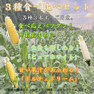 【先行予約】 長野県長和町産　黒耀水育ちのあまいとうもろこし　スイートコーン人気3品種食べ比べセット