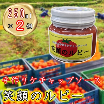 手作りケチャップソース「笑顔のルビー」250ml×2個 信州長和町産トマト・長野県産りんご玉ねぎ使用