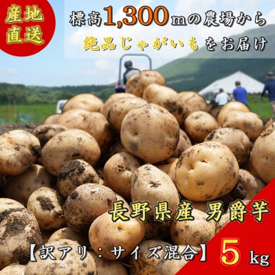 【訳アリ】【期間限定】信州長和町産じゃがいも(男爵芋) 5kg  長野県産産地直送
