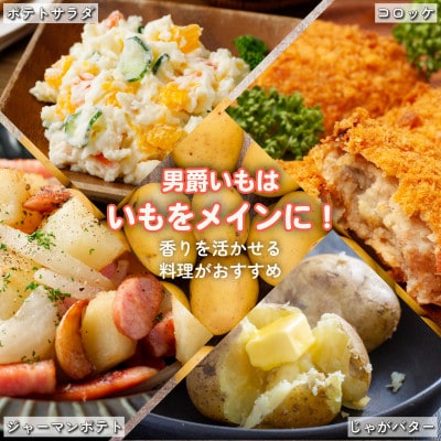 【訳アリ】【期間限定】信州長和町産じゃがいも(男爵芋) 5kg  長野県産産地直送