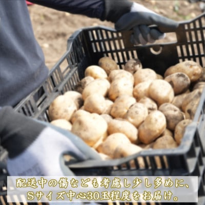 【訳アリ】【期間限定】信州長和町産じゃがいも(男爵芋) 5kg  長野県産産地直送