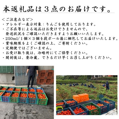 手作りケチャップソース「笑顔のルビー」250ml×3個 信州長和町産トマト・長野県産りんご玉ねぎ使用