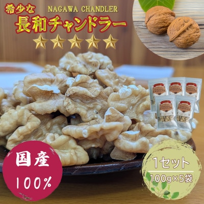 高級くるみ「長和チャンドラー」500g　希少な国産チャンドラー種　信州長和町産　自社農園直送