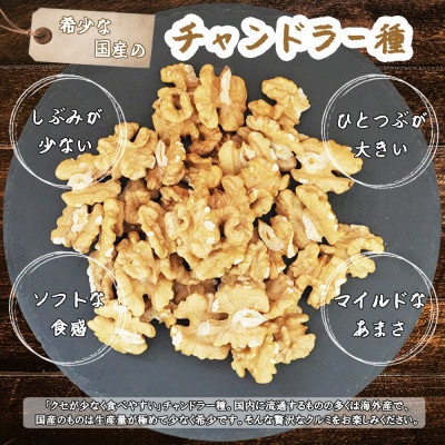 高級くるみ「長和チャンドラー」500g　希少な国産チャンドラー種　信州長和町産　自社農園直送