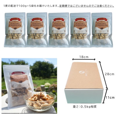 高級くるみ「長和チャンドラー」500g　希少な国産チャンドラー種　信州長和町産　自社農園直送