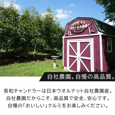 高級くるみ「長和チャンドラー」500g　希少な国産チャンドラー種　信州長和町産　自社農園直送