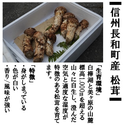 【数量限定】朝採れ直送 信州長和町産 令和7年度産松茸 200g 白樺湖美ヶ原山麓　自生直送 冷蔵便