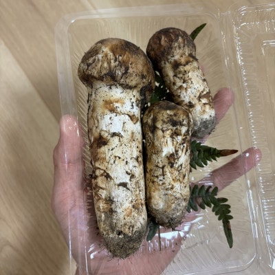 【数量限定】朝採れ厳選 信州長和町産 松茸 300g 産地直送 冷蔵便