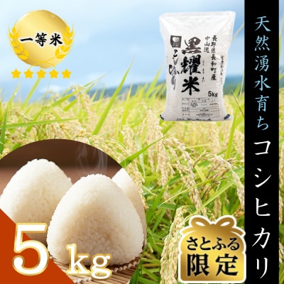 【さとふる限定】【個数限定】令和7年産 コシヒカリ5キロ　軟水「黒耀水」育ち 農家直送 一等米精白米