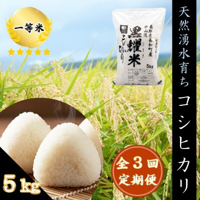 【毎月定期便】コシヒカリ5キロ(kg)　長野県長和町産 農家直送 一等米精白米全3回