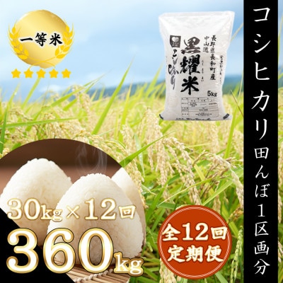 【毎月定期便】精米まるごと田んぼ1区画分!コシヒカリ360kg保障　30kg/月全12回