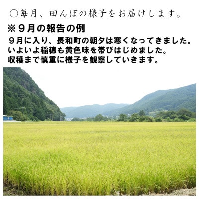 【毎月定期便】精米まるごと田んぼ1区画分!コシヒカリ360kg保障　30kg/月全12回