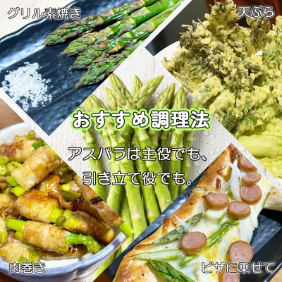 【訳アリ】【先行予約】旬にお届け!アスパラガス1.5kg サイズ混合 冷蔵便 産地直送収穫即出荷