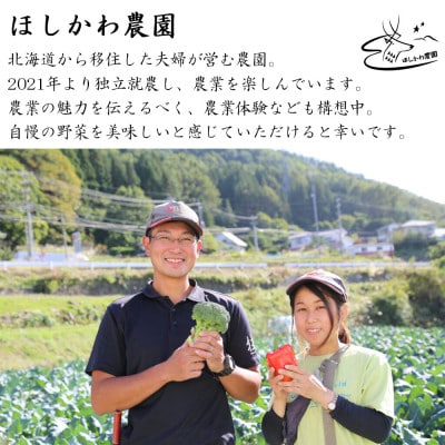 【訳アリ】【先行予約】旬にお届け!アスパラガス1.5kg サイズ混合 冷蔵便 産地直送収穫即出荷