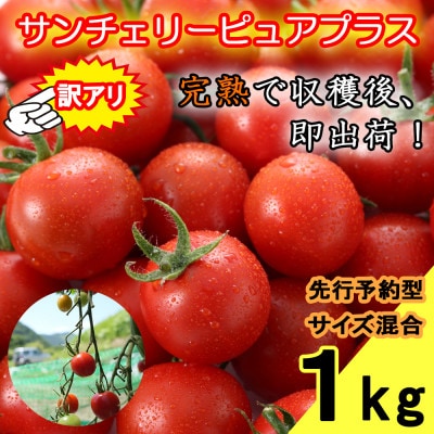 【訳アリ】信州長和町産　完熟ミニトマトサイズ混合1kg　先行予約8月上旬発送　長野県野菜　産地直送