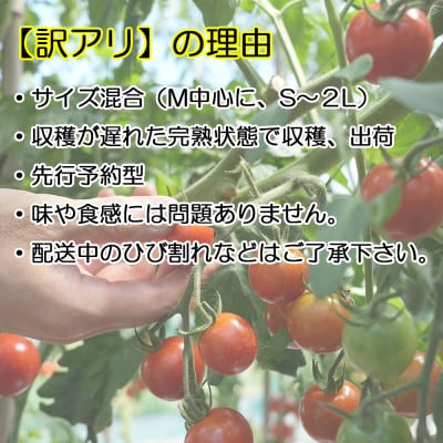 【訳アリ】信州長和町産　完熟ミニトマトサイズ混合1kg　先行予約8月上旬発送　長野県野菜　産地直送