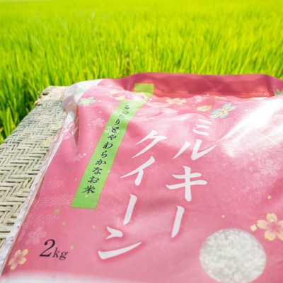 令和7年産 長野県長和町産ミルキークイーン2kg(キロ) 精白米　農家直送　冷めてもおいしいお米