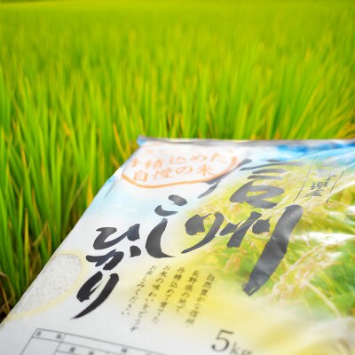 令和7年産 長野県長和町産こしひかり10kg(5キロ×2袋) 精白米　農家直送　冷めてもおいしいお米