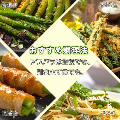 朝採れ直送　グリーンアスパラガス1kg　柔らかくて青臭くないおいしいアスパラ　農家直送冷蔵便