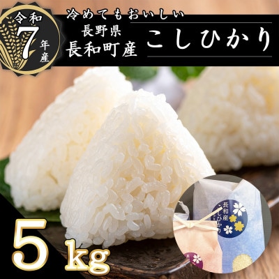 令和7年産こしひかり5キロ(kg)　おにぎりにしても美味しいお米『信州産コシヒカリ精白米』 冷蔵便