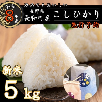 【先行予約】令和8年産新米こしひかり5キロ(kg)　信州産コシヒカリ　精白米　おにぎりにおすすめ