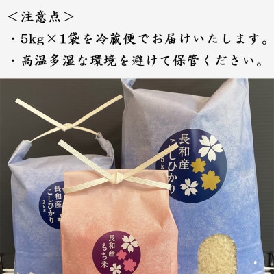 令和7年産こしひかり5キロ(kg)　おにぎりにしても美味しいお米『信州産コシヒカリ精白米』 冷蔵便
