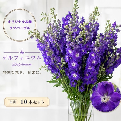 デルフィニウム 生花10本　花色:ラブパープル　～特別な花をインテリアに～