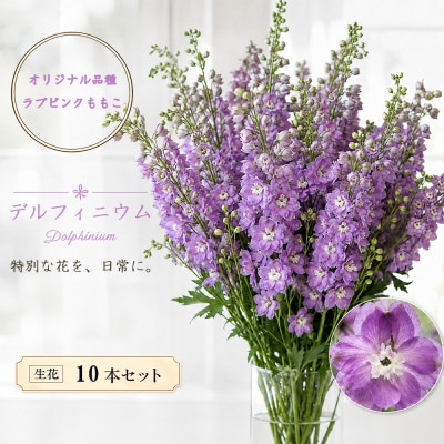 デルフィニウム 生花10本　花色:ラブピンクももこ　～特別な花をインテリアに～
