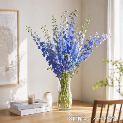 デルフィニウム 生花10本　花色:ラブブルー　～特別な花をインテリアに～