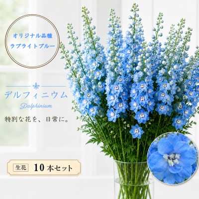 デルフィニウム 生花10本　花色:ラブライトブルー　～特別な花をインテリアに～