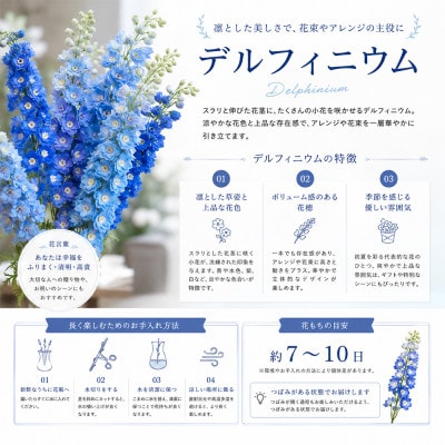 デルフィニウム 生花10本　花色:ラブライトブルー　～特別な花をインテリアに～
