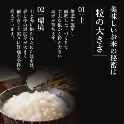 隔月定期便　秋田県産 ひとめぼれ 5kg ×6回 計30kg 令和7年産[No.5685-1298]