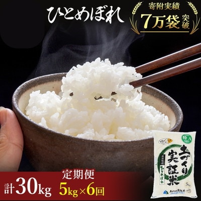 定期便6回 秋田県産 ひとめぼれ 5kg 計30kg 令和7年産[No.5685-2072]